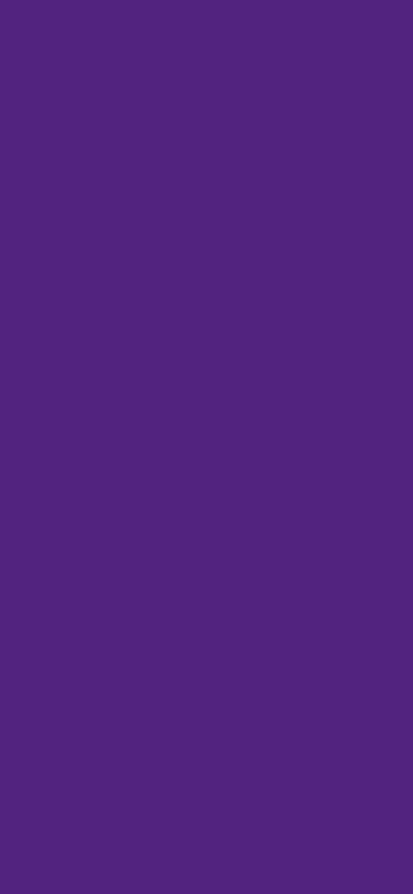 #502380 - Aesthetic Purple color image