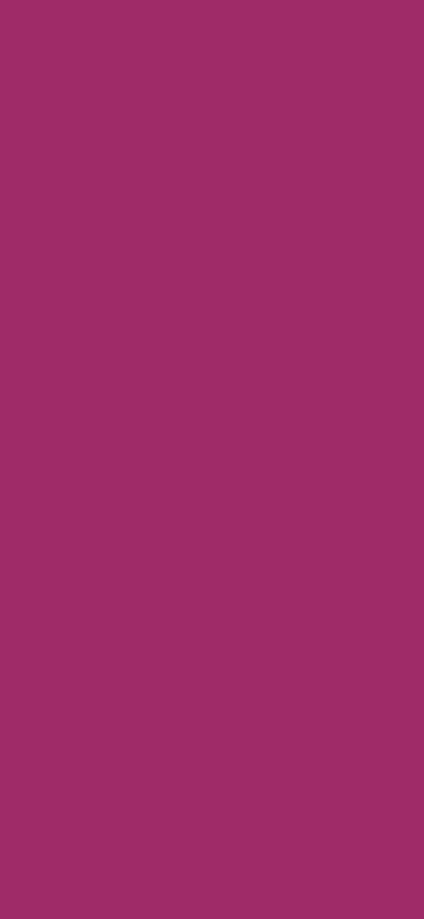 #9F2B68 - Amaranth Deep Purple color image