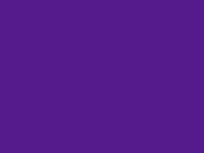 #551B8C - American Violet color image