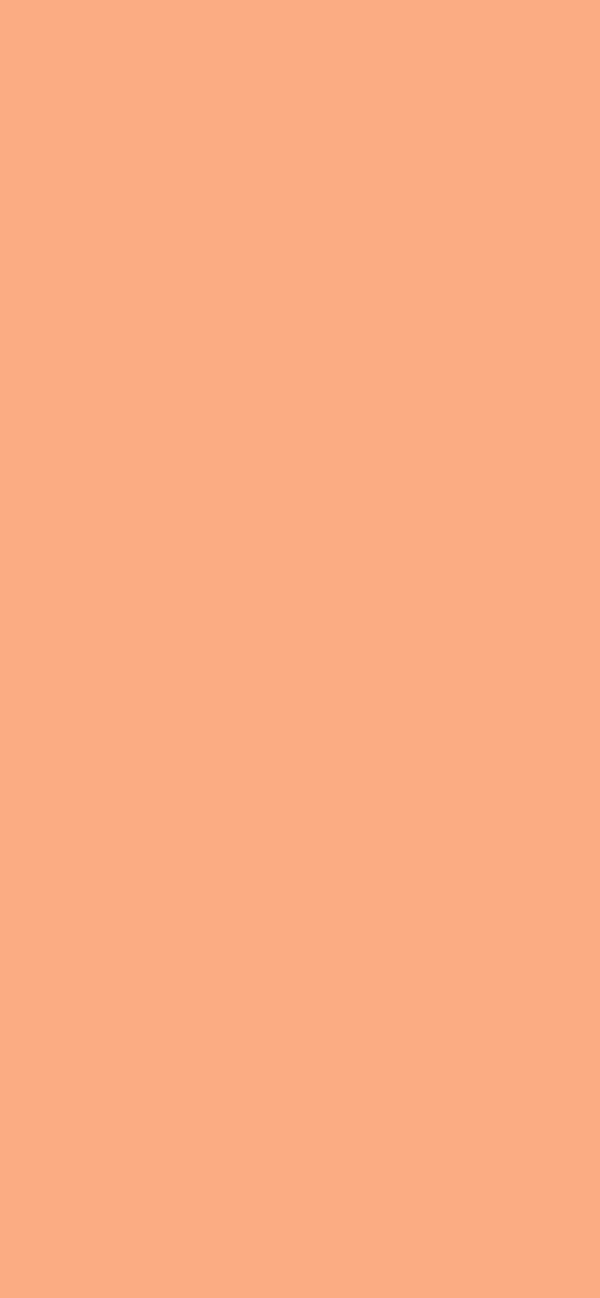 #FBAC82 - Apricot Wash color image