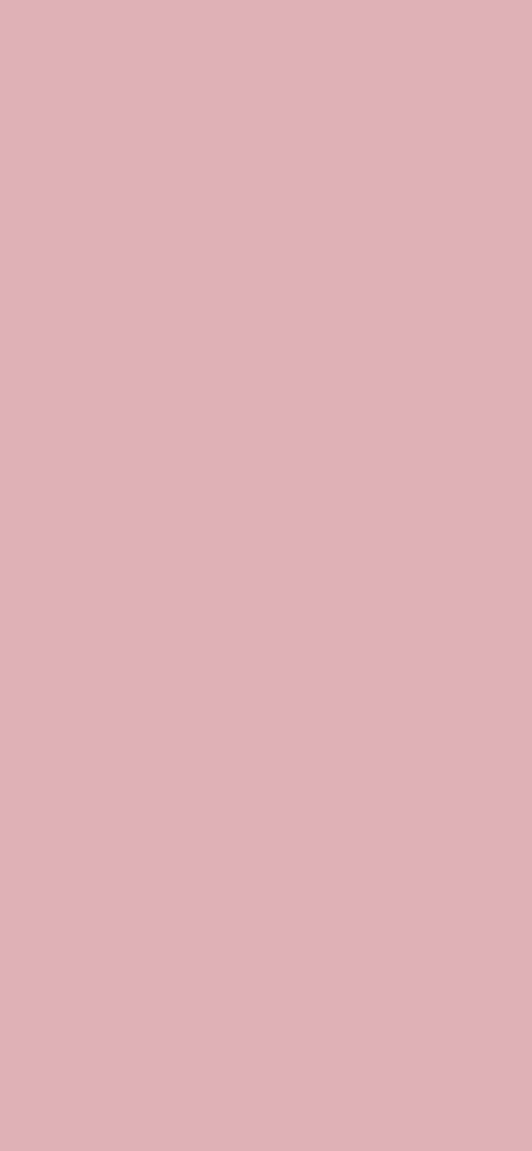 #DFB1B6 - Blossom color image