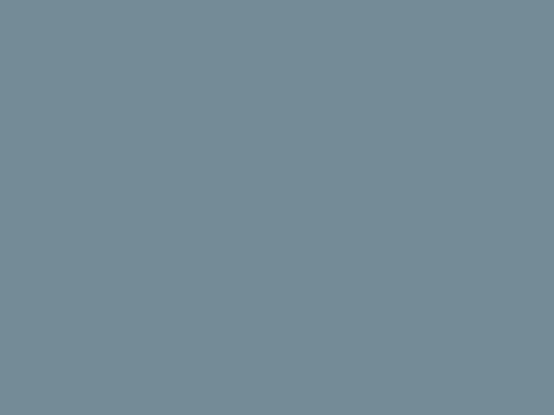 #748B97 - Bluish Grey color image