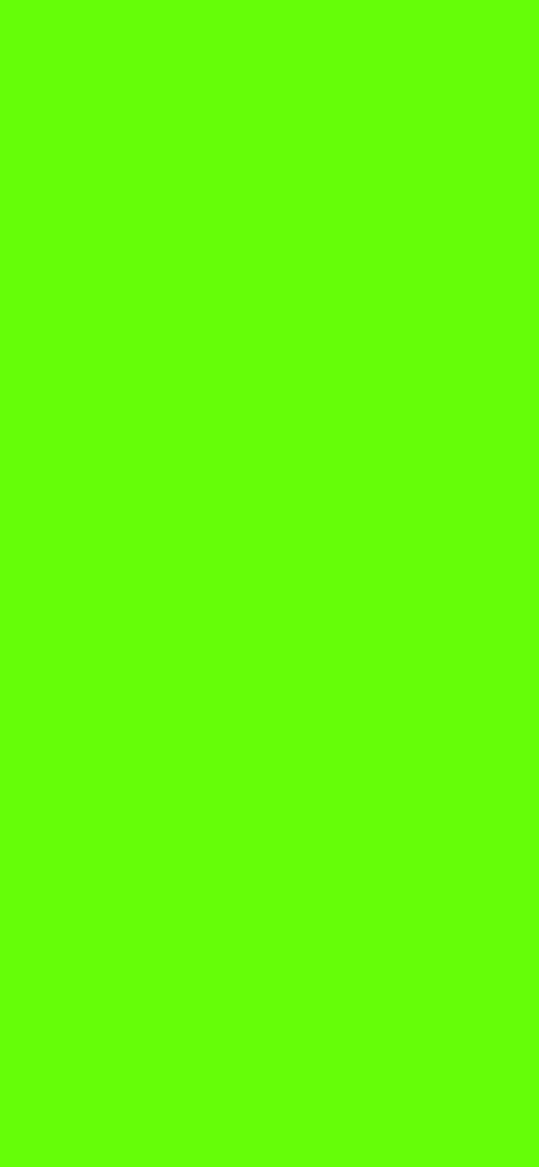 #65FE08 - Bright Lime Green color image