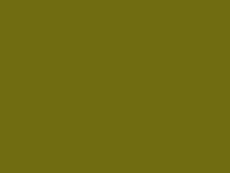 #706C11 - Brown Green color image