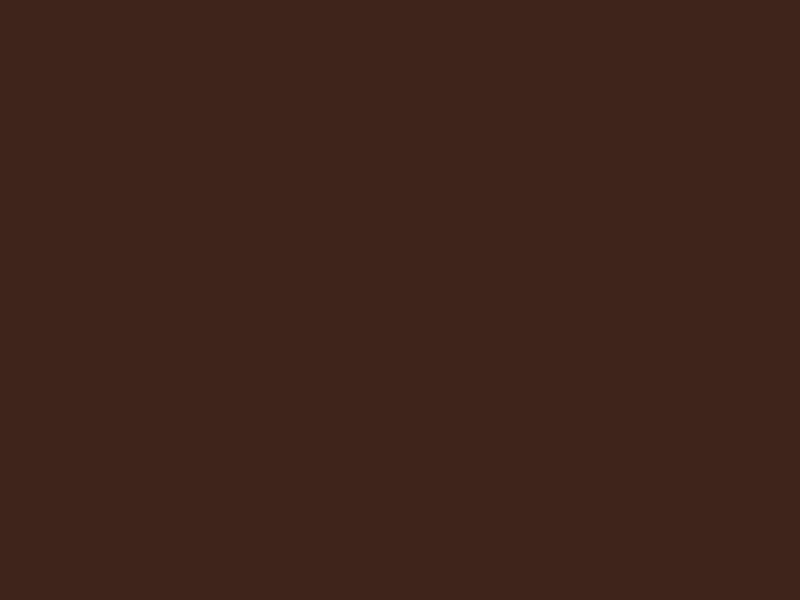 #3C241B - Brown Pod color image