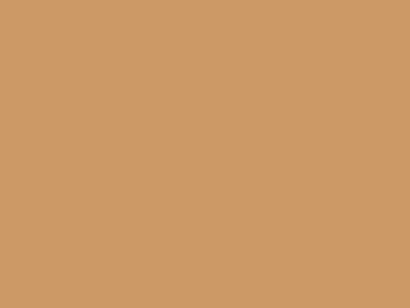 #CC9966 - Brown Yellow color image