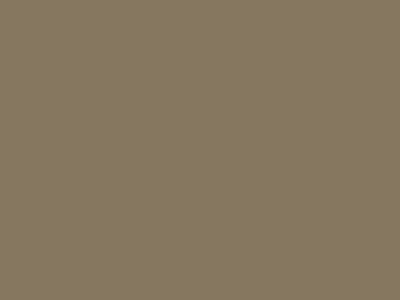 #86775F - Brownish Grey color image