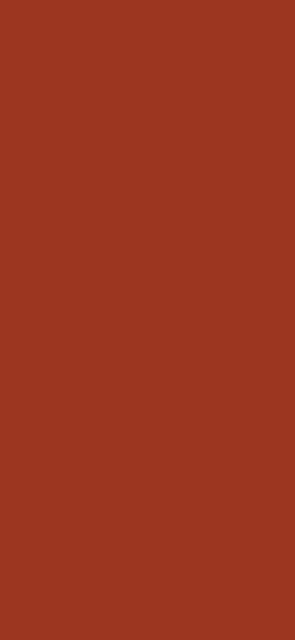 #9E3623 - Brownish Red color image