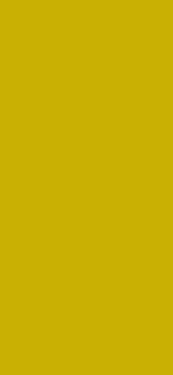 #C9B003 - Brownish Yellow color image