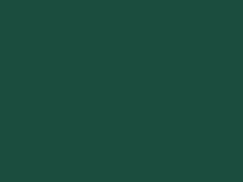 #1B4D3E - Brunswick Green color image