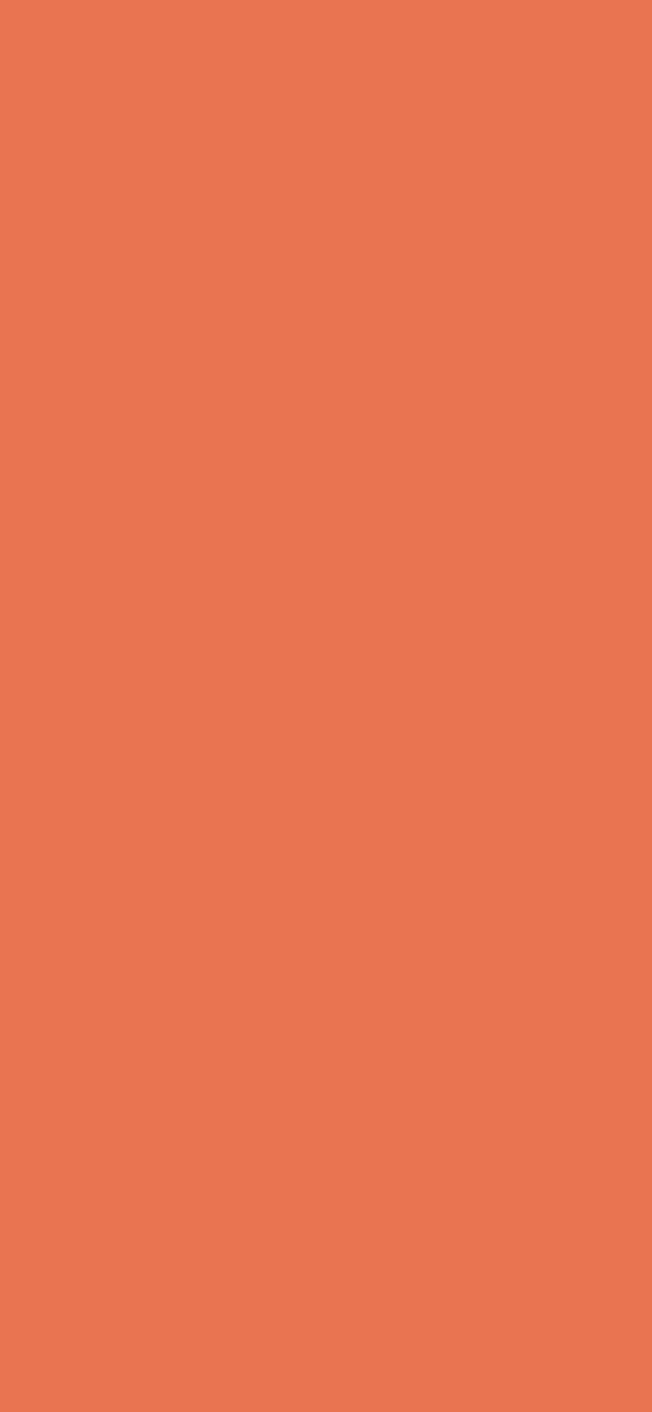 #E97451 - Burnt Sienna color image