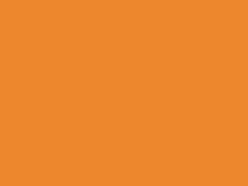 #ED872D - Cadmium Orange color image