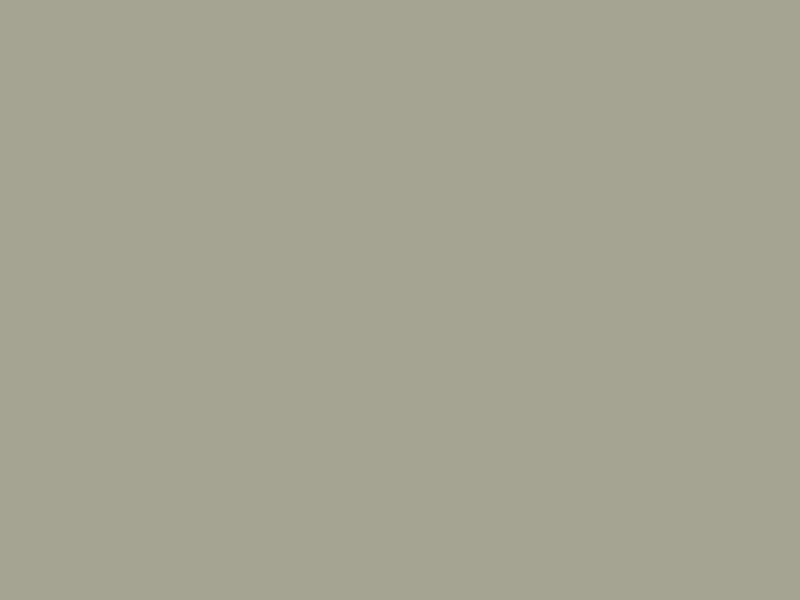 #A5A391 - Cement color image