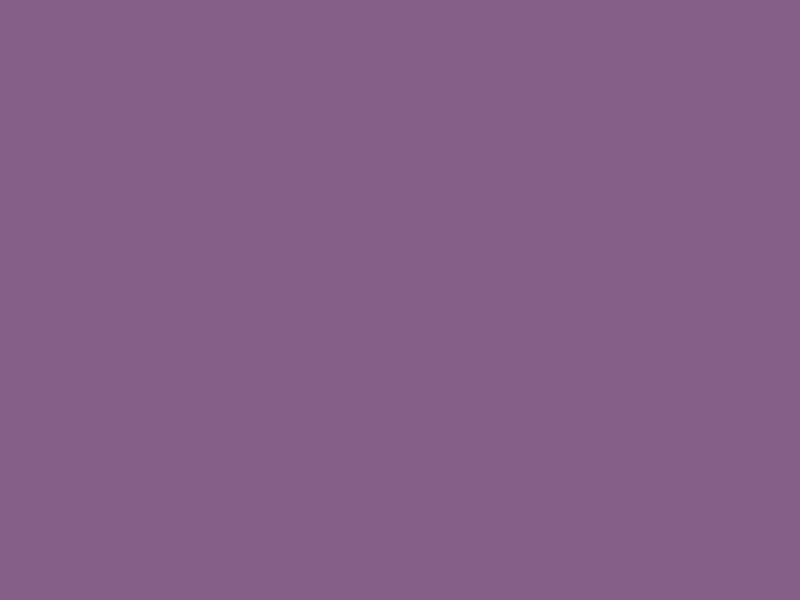 #856088 - Chinese Violet color image