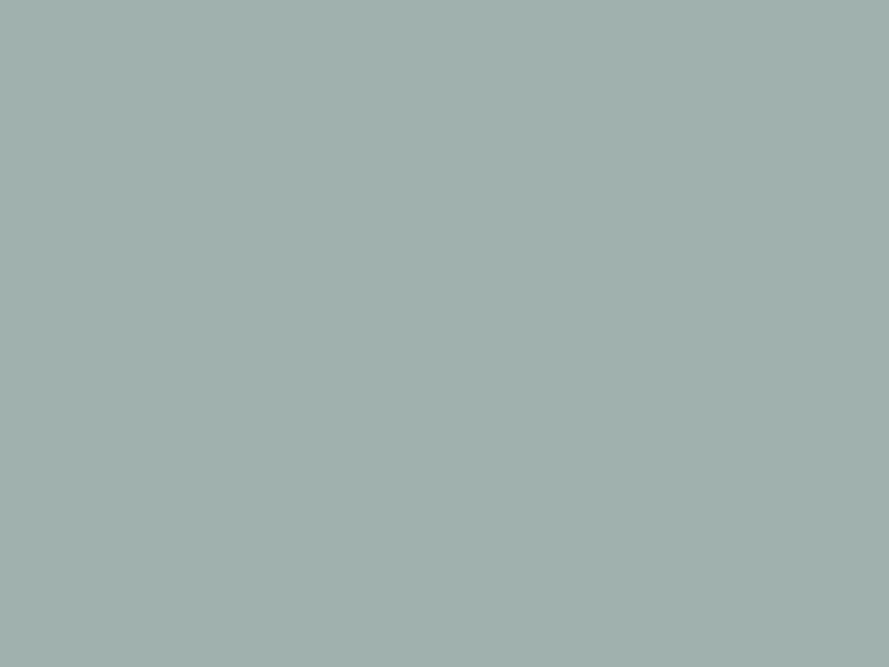 #A0B1AE - Conch color image