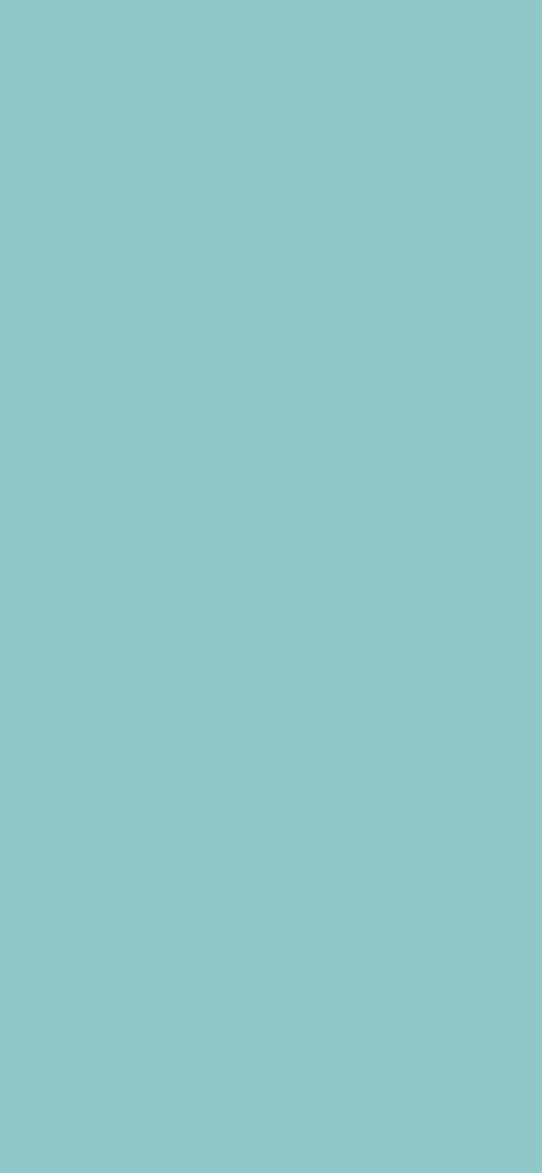 #92C7C7 - Cyan Opaque color image