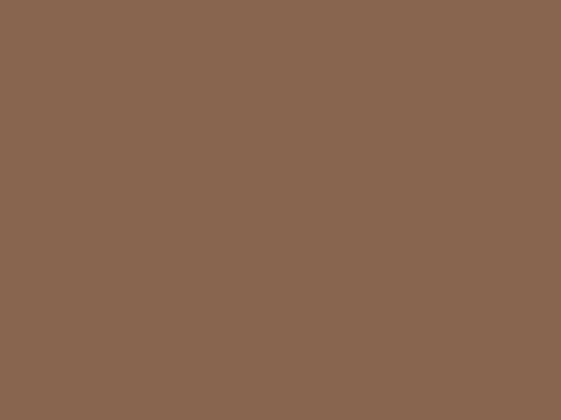 #88654E - Dark Brown Tangelo color image