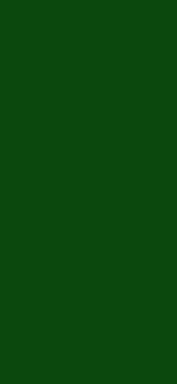 #0A480D - Dark Fern color image