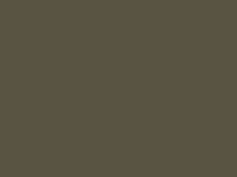 #595442 - Dark Grayish Amber color image