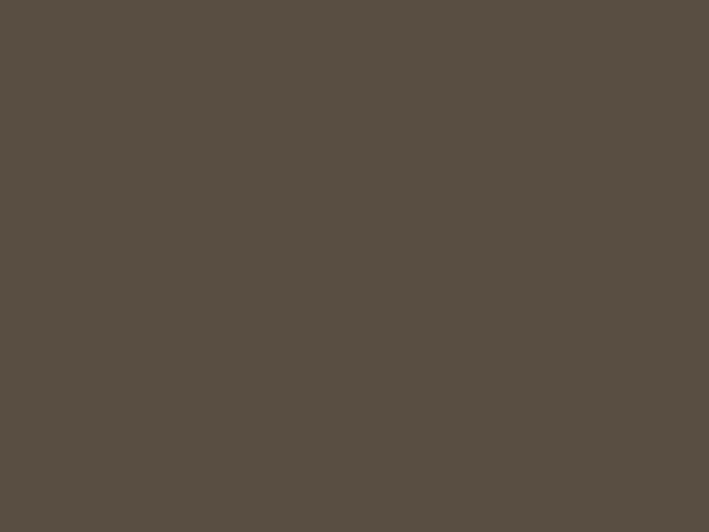 #594E42 - Dark Grayish Brown color image