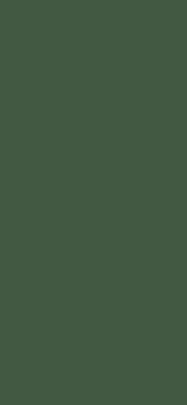 #425942 - Dark Grayish Green color image