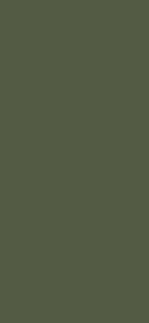 #545942 - Dark Grayish Lime Green color image