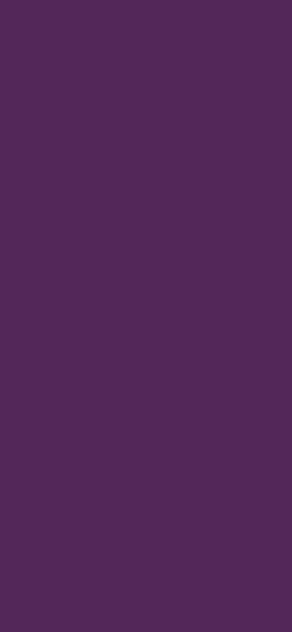 #532759 - Dark Heliotrope color image