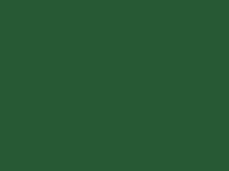 #275934 - Dark Malachite Green color image