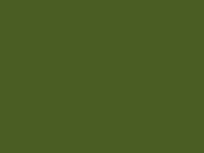 #4A5D23 - Dark Moss Green color image