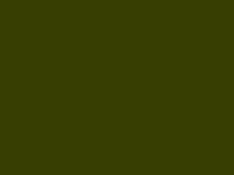 #373E02 - Dark Olive color image