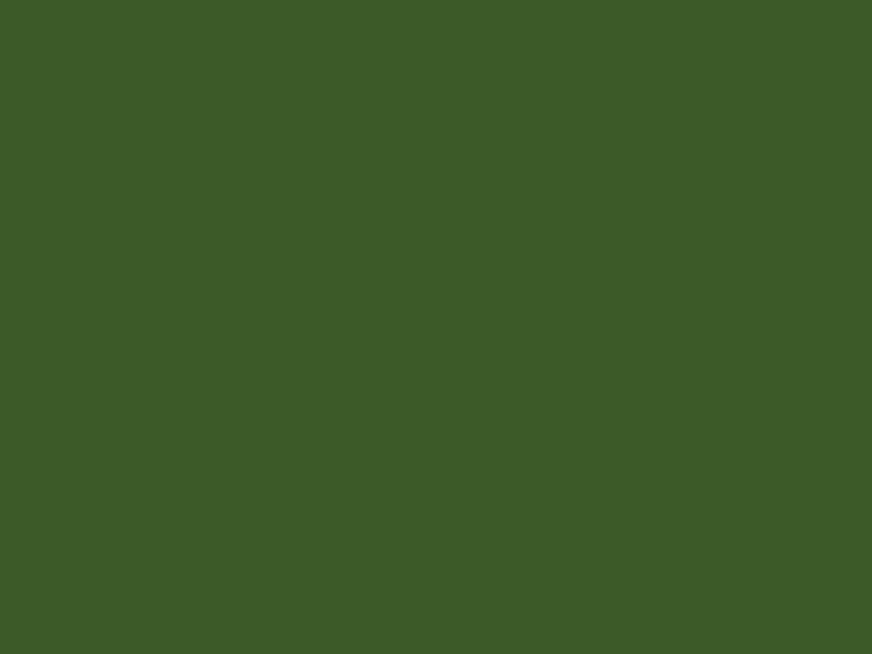 #3A5927 - Dark Pistachio color image