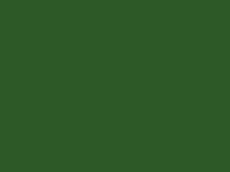 #2D5927 - Dark Sap Green color image