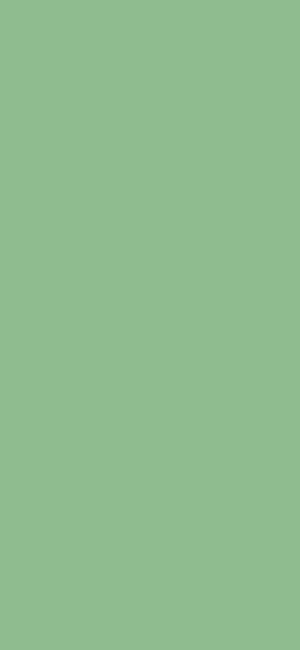 #8FBC8F - Dark Sea Green color image