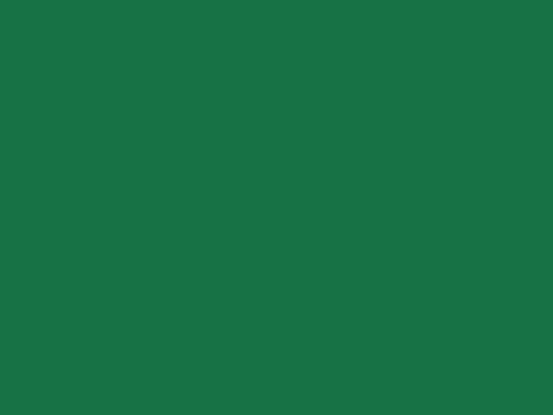 #177245 - Dark Spring Green color image