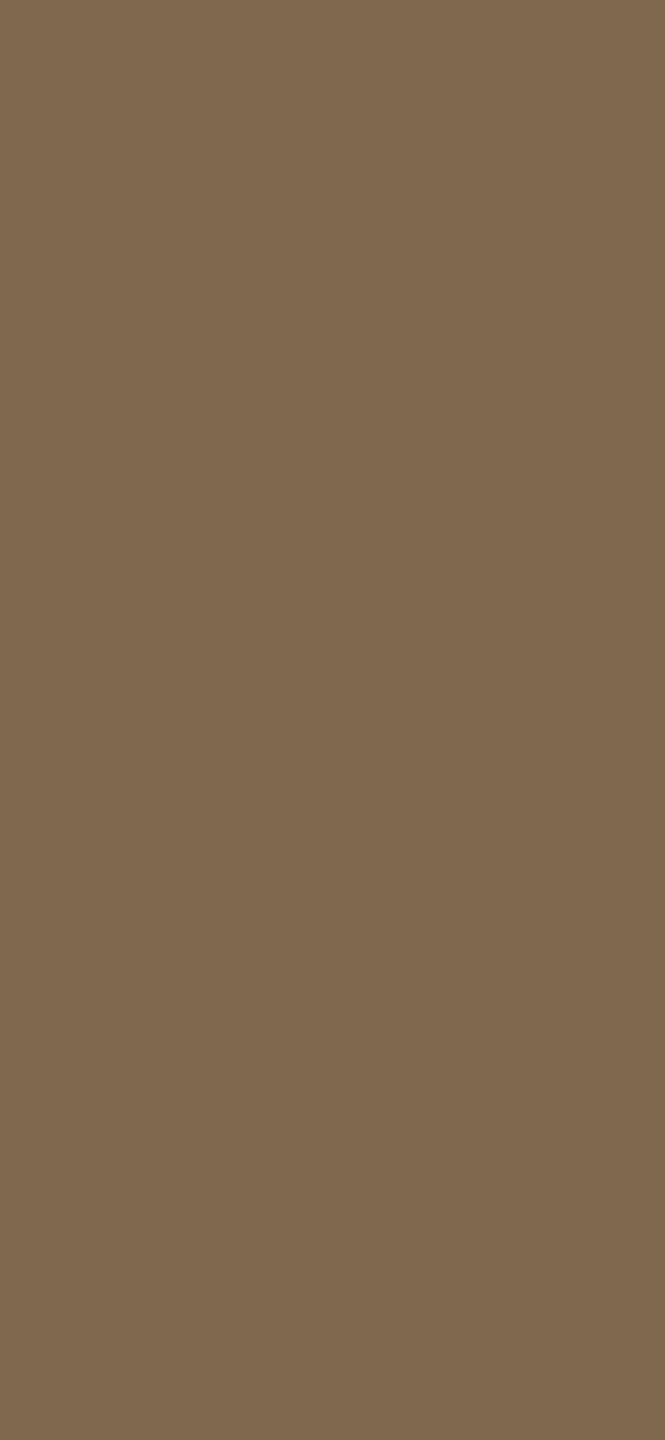 #7F684E - Dark Taupe color image