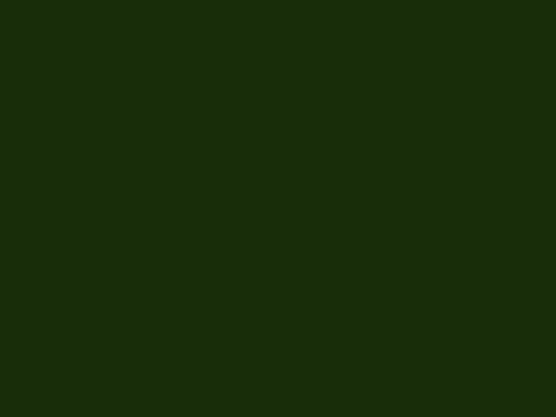 #182D09 - Deep Forest Green color image