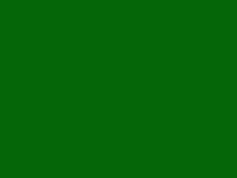 #056608 - Deep Green color image