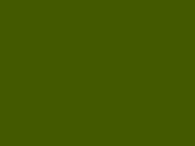 #435900 - Deep Lime Green color image