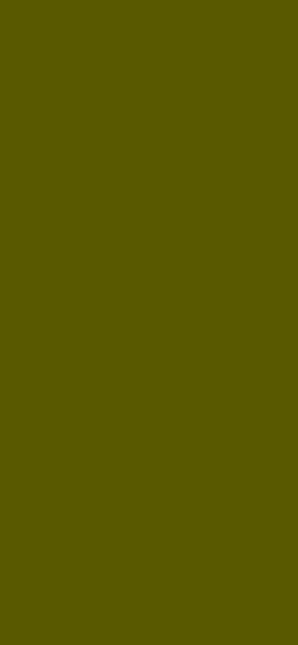 #595900 - Deep Olive color image