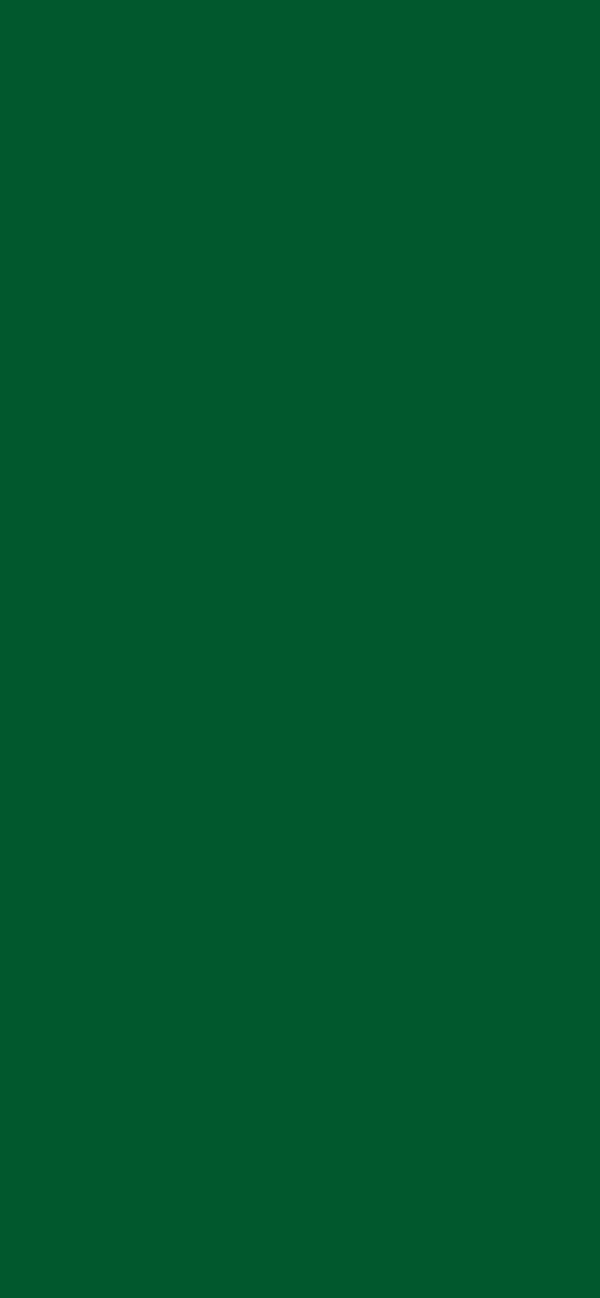 #00592D - Deep Spring Green color image