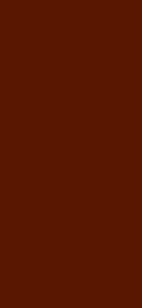 #591600 - Deep Vermilion color image