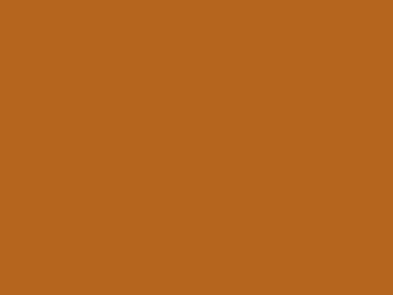 #B5651E - Dirty Brown color image