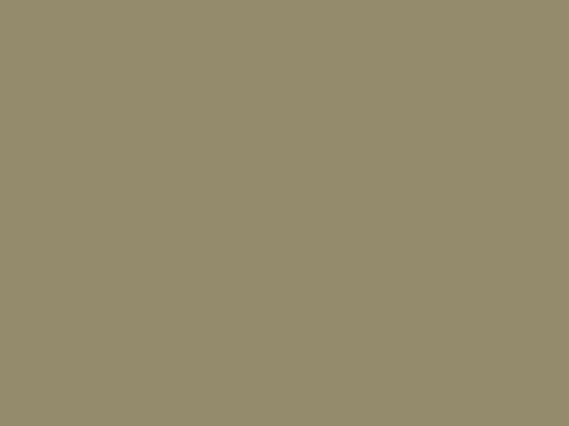 #948A6C - Double Grey Olive color image