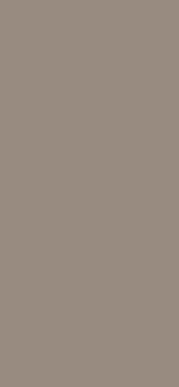 #988B80 - Double Perfect Taupe color image