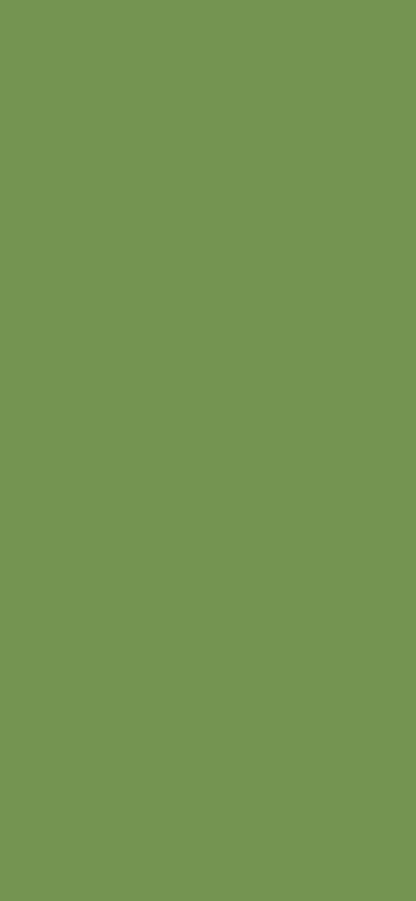 #749551 - Drab Green color image