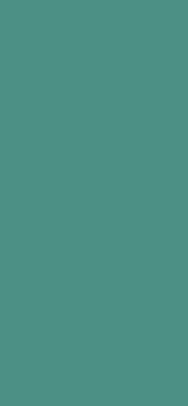 #4C9085 - Dusty Teal color image