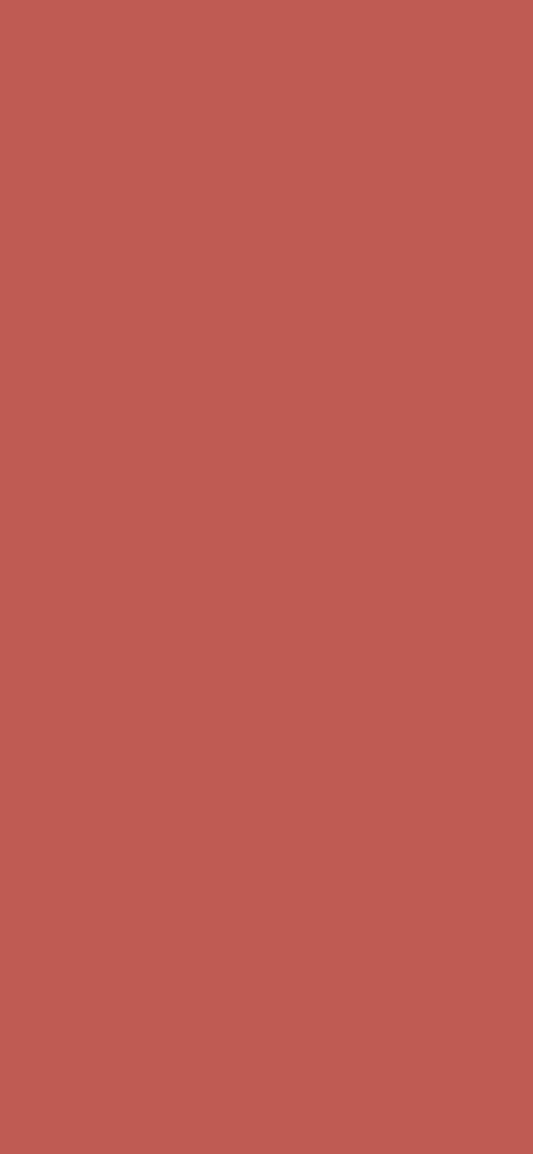 #BF5B53 - Earth Red color image