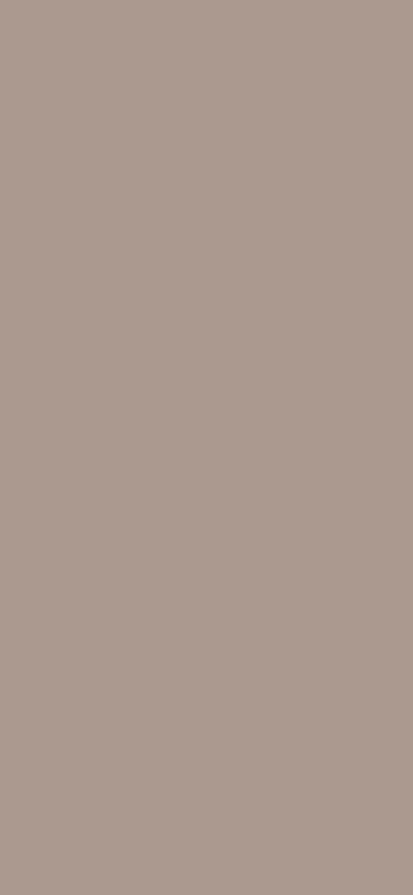 #A8988E - Effervescent color image