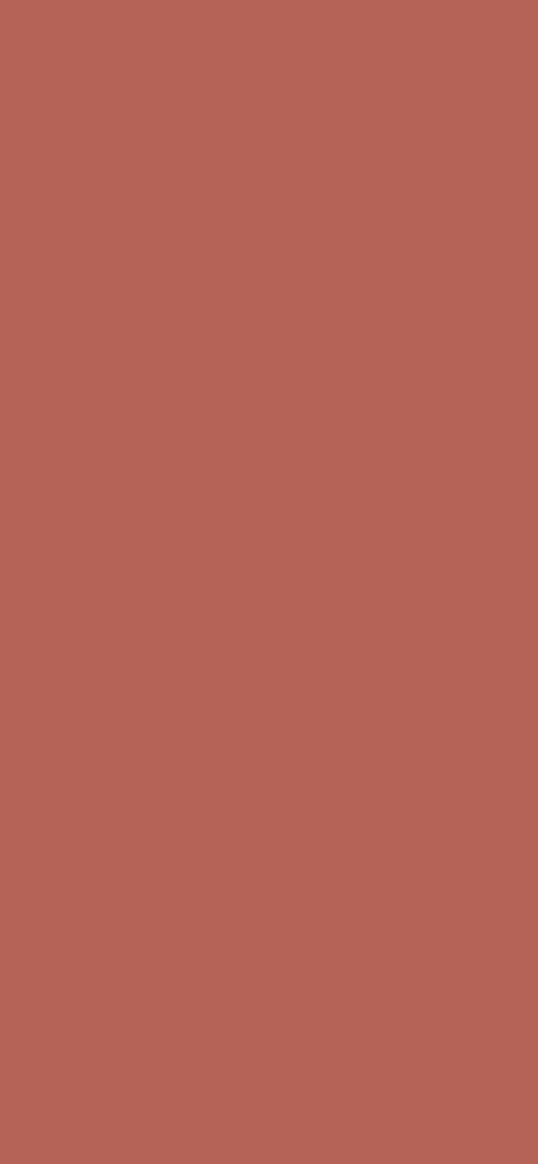 #B56257 - Electric Brown color image