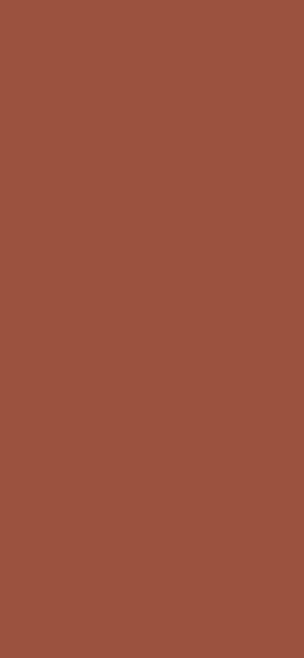 #9B533F - Faded Spicy Red Brown color image